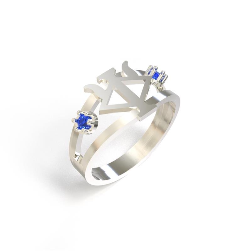 ANEL DE PRATA FORMATURA (FAZ DIVERSOS CURSOS)