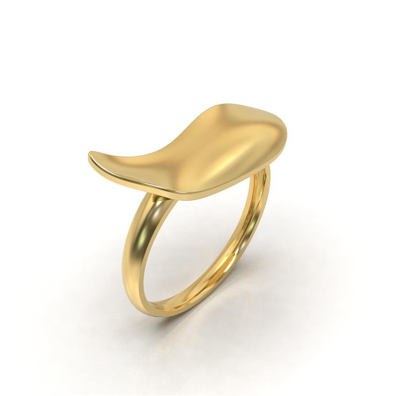 ANEL DE MOEDA ONDA LISA