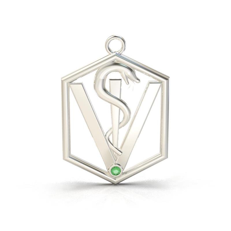 PINGENTE DE PRATA FORMATURA MEDICINA 4X3 C/1 PEDRA DE 3MM (TAM G)