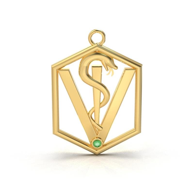 PINGENTE DE MOEDA FORMATURA MEDICINA 4X3 C/1 PEDRA DE 3MM (TAM G)