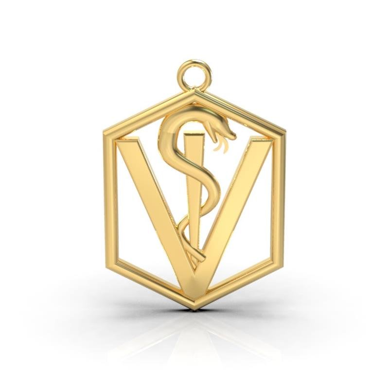 PINGENTE DE MOEDA FORMATURA MEDICINA 4X3 (TAM G)